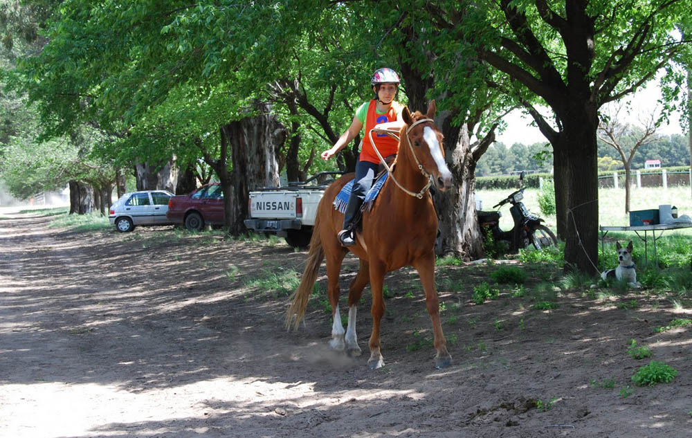 Lautaro Tridente                                                                